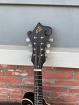 The Loar Honey Creek F-Style Mandolin LM-310F