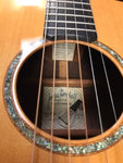 1980 James Goodall Custom