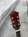 1977 Guild D25