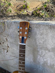 Epiphone Dobro Hound Dog Deluxe Resonator