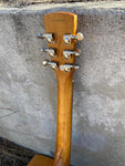 Epiphone Dobro Hound Dog Deluxe Resonator