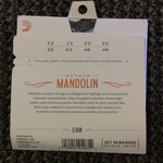 D’Addario EJ80 Octave Mandolin 12-46