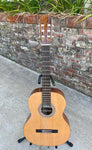 Kremona Classical Soloist F65c