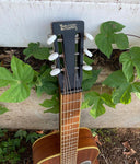 Lark In The Morning Square Neck Dobro