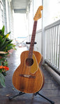 Fender Newporter 60s