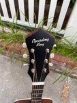 Recording King Series 11 Dreadnought with Fishman RDS-11-FE3-TBR