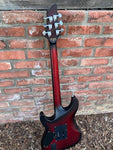 Schecter Diamond Series C1-FR Platinum