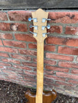 Troy Post Wolf Guitar
