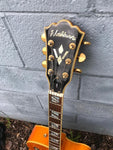 Washburn J-6S