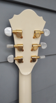 Ibanez Artcore AF75TDG