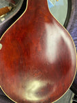1919 The Gibson Mandolin A3